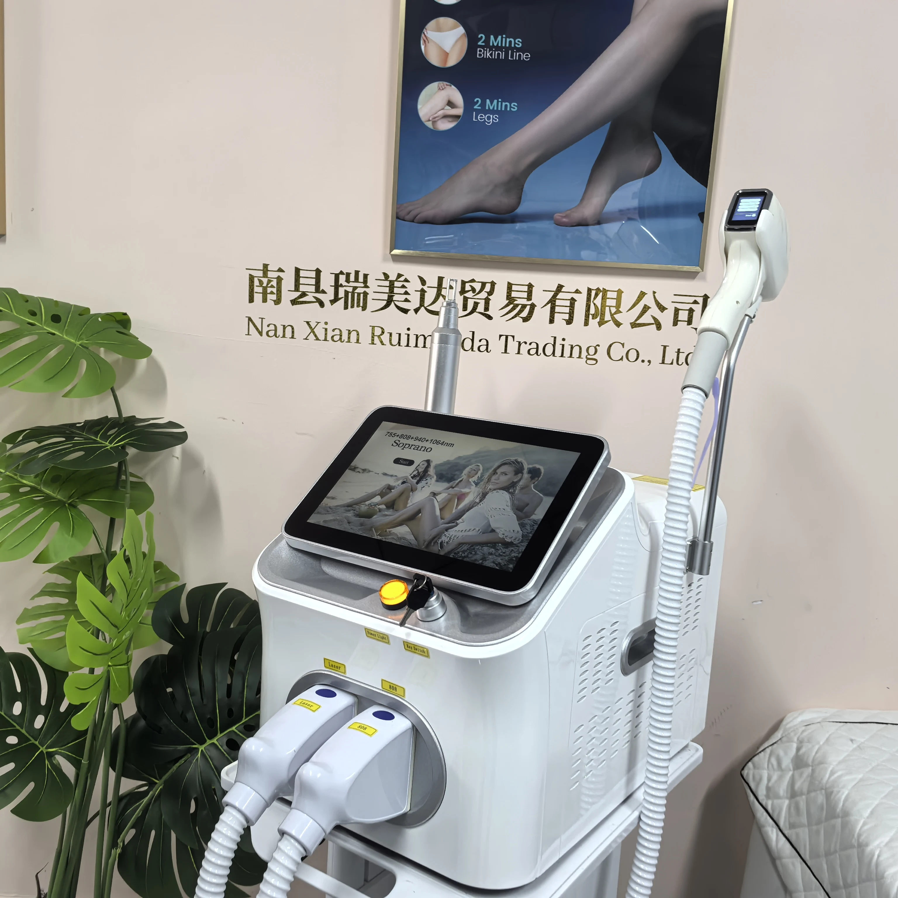 Profesyonel 2'si 1 Arada Diyot - Nd Yag Laser Tattoo Removal Machine incelemesi ve fiyatı